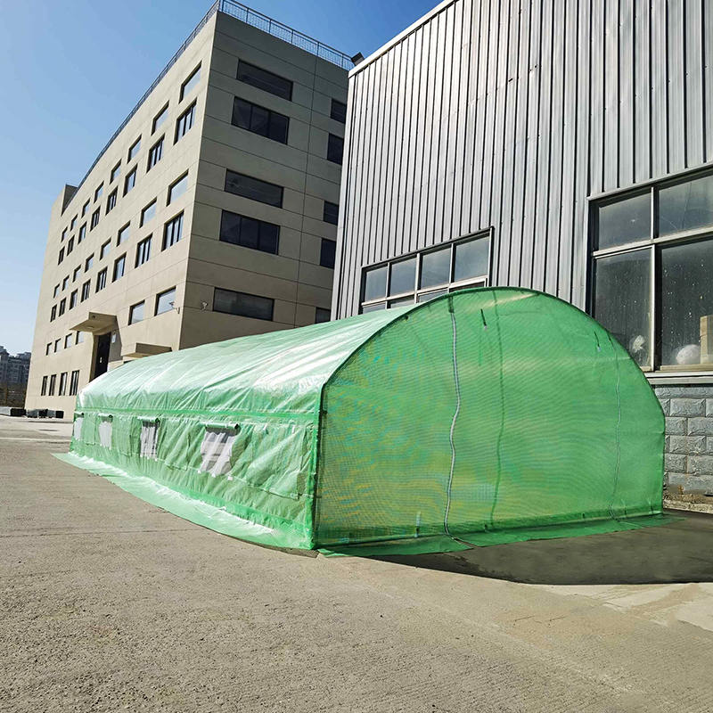4×8×2m ラウンドトップ連棟ハウス フィルム温室トンネル